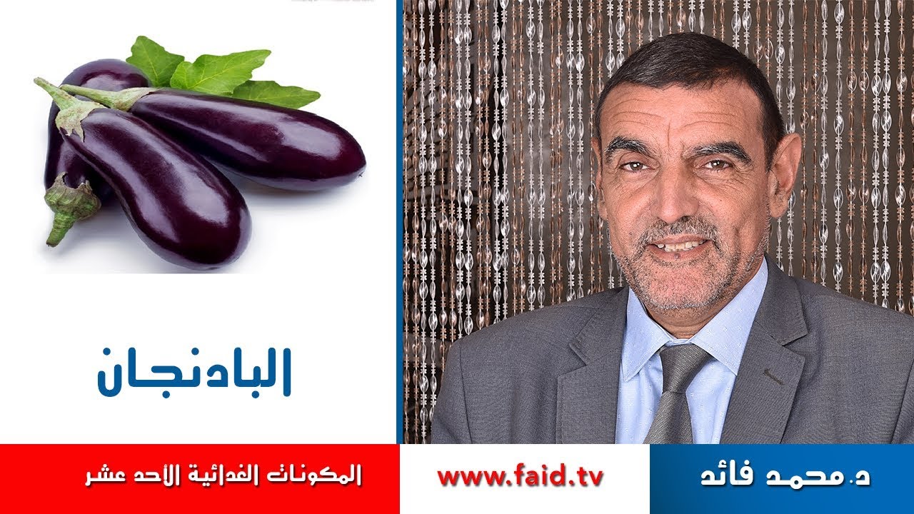 البادنجان | Eggplant | الدكتور محمد فائد