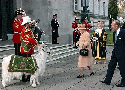 Queen Elizabeth Goat