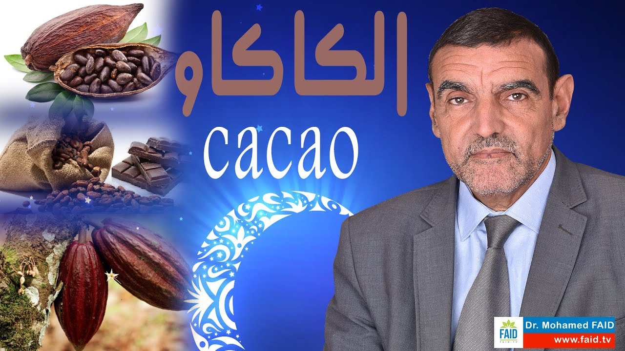 الكاكاو | cacao | الدكتور محمد فائد